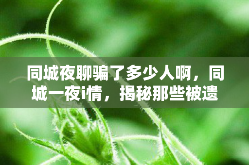 同城夜聊骗了多少人啊，同城一夜i情，揭秘那些被遗忘的版本更迭与集体记忆