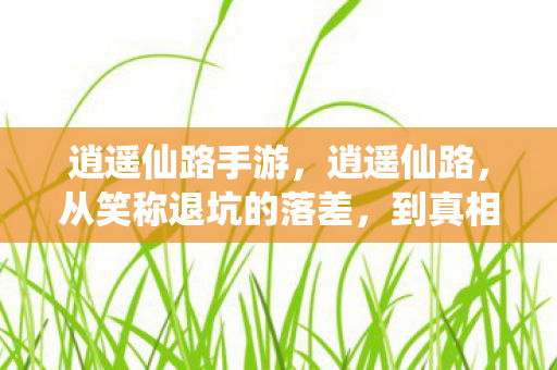 逍遥仙路手游，逍遥仙路，从笑称退坑的落差，到真相揭晓笑着笑着哭了