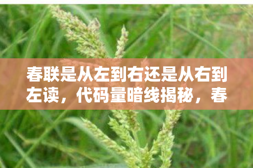 春联是从左到右还是从右到左读，代码量暗线揭秘，春联方向竟让我在游戏与现实间头皮发麻！