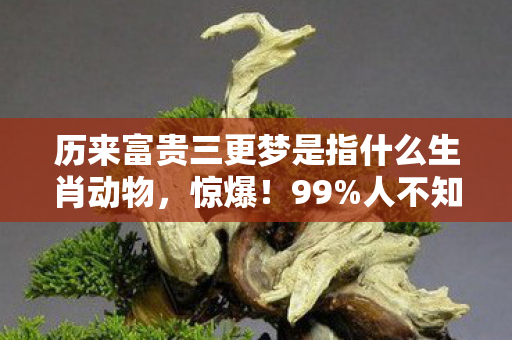 历来富贵三更梦是指什么生肖动物，惊爆！99%人不知富贵三更梦竟藏这生肖玄机！