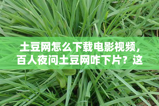 土豆网怎么下载电影视频,百人夜问土豆网咋下片?这疑点我绷不住了!网吧老炮揭秘 土豆网怎么下载电影视频,百人夜问土豆网咋下片?这疑点我绷不住了!网吧老炮揭秘