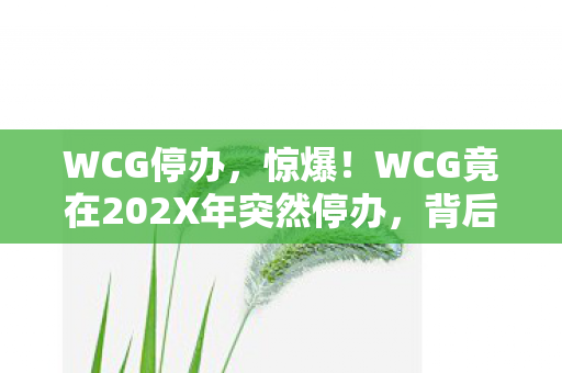 WCG停办，惊爆！WCG竟在202X年突然停办，背后隐藏着什么惊天秘密？