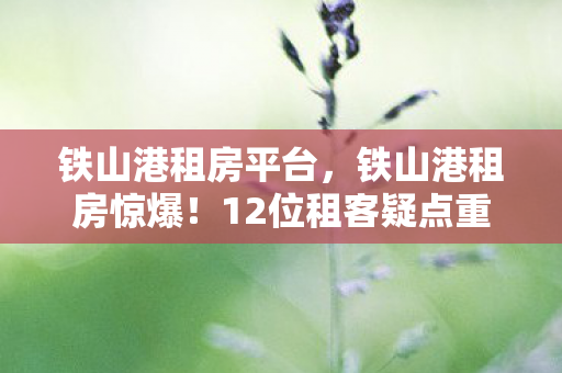铁山港租房平台,铁山港租房惊爆!12位租客疑点重重,房东绷不住深夜爆料 铁山港租房平台,铁山港租房惊爆!12位租客疑点重重,房东绷不住深夜爆料