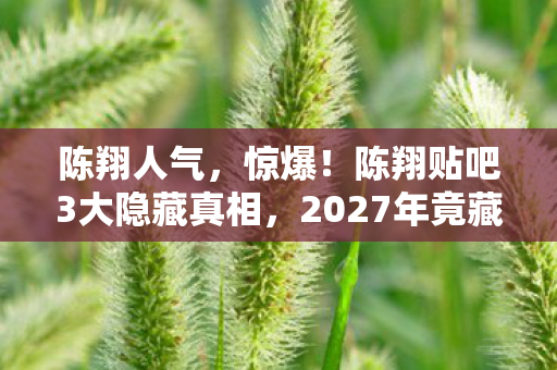 陈翔人气，惊爆！陈翔贴吧3大隐藏真相，2027年竟藏着这等炸裂反转？