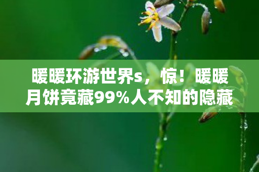 暖暖环游世界s,惊!暖暖月饼竟藏99%人不知的隐藏玩法,新手秒变大神的秘诀在这! 暖暖环游世界s,惊!暖暖月饼竟藏99%人不知的隐藏玩法,新手秒变大神的秘诀在这!