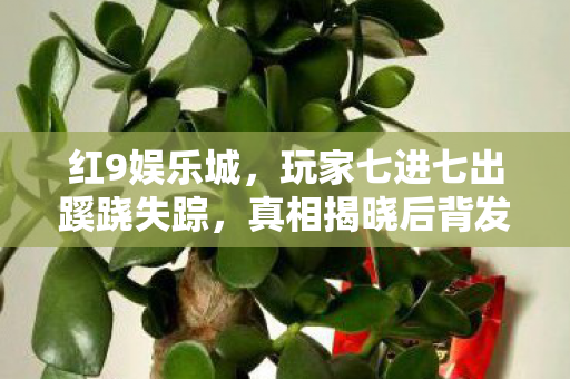红9娱乐城,玩家七进七出蹊跷失踪,真相揭晓后背发凉! 红9娱乐城,玩家七进七出蹊跷失踪,真相揭晓后背发凉!