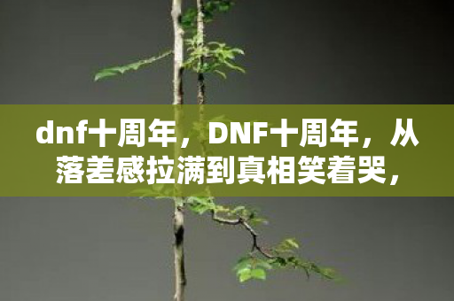 dnf十周年,DNF十周年,从落差感拉满到真相笑着哭,这破游戏居然还活着? dnf十周年,DNF十周年,从落差感拉满到真相笑着哭,这破游戏居然还活着?