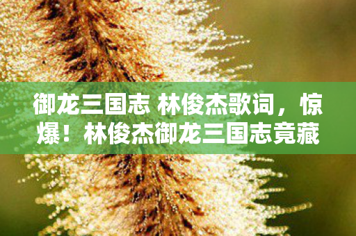 御龙三国志 林俊杰歌词,惊爆!林俊杰御龙三国志竟藏13次蹊跷,真相让人后背发凉! 御龙三国志 林俊杰歌词,惊爆!林俊杰御龙三国志竟藏13次蹊跷,真相让人后背发凉!