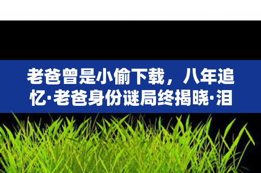 老爸曾是小偷下载,八年追忆·老爸身份谜局终揭晓·泪目告别 老爸曾是小偷下载,八年追忆·老爸身份谜局终揭晓·泪目告别