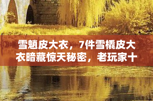 雪魈皮大衣,7件雪橇皮大衣暗藏惊天秘密,老玩家十年追寻终揭真相! 雪魈皮大衣,7件雪橇皮大衣暗藏惊天秘密,老玩家十年追寻终揭真相!