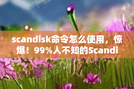 scandisk命令怎么使用,惊爆!99%人不知的Scandisk数值黑幕,修复率竟暗藏玄机? scandisk命令怎么使用,惊爆!99%人不知的Scandisk数值黑幕,修复率竟暗藏玄机?
