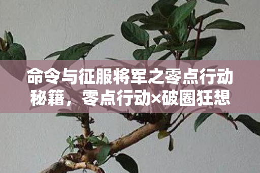 命令与征服将军之零点行动秘籍,零点行动×破圈狂想!当第101次元手办攻陷三次元冰箱 命令与征服将军之零点行动秘籍,零点行动×破圈狂想!当第101次元手办攻陷三次元冰箱
