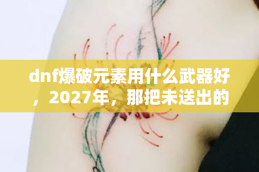 dnf爆破元素用什么武器好,2027年,那把未送出的法杖,成了我鼻子一酸的伏笔 dnf爆破元素用什么武器好,2027年,那把未送出的法杖,成了我鼻子一酸的伏笔