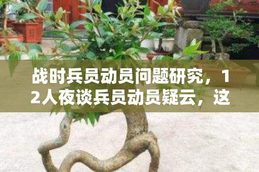 战时兵员动员问题研究,12人夜谈兵员动员疑云,这操作谁顶得住?我当场绷不住! 战时兵员动员问题研究,12人夜谈兵员动员疑云,这操作谁顶得住?我当场绷不住!