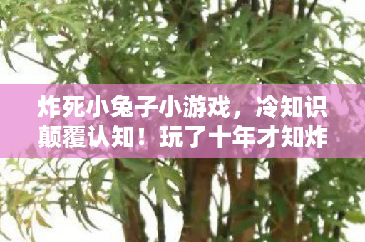 炸死小兔子小游戏,冷知识颠覆认知!玩了十年才知炸死小兔子竟藏着目瞪口呆的真相 炸死小兔子小游戏,冷知识颠覆认知!玩了十年才知炸死小兔子竟藏着目瞪口呆的真相