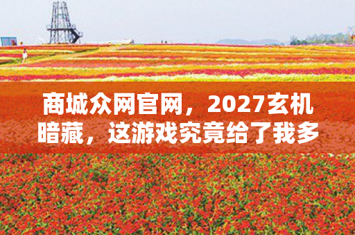 商城众网官网，2027玄机暗藏，这游戏究竟给了我多少沉默的真相？