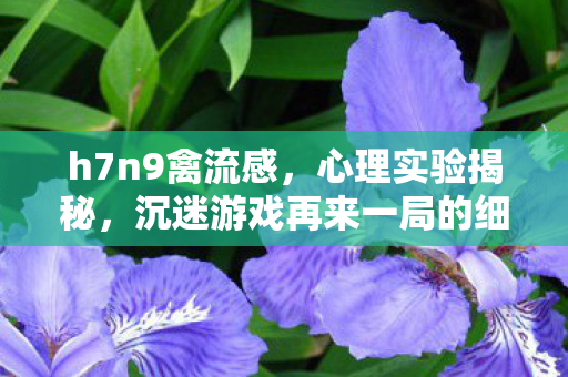 h7n9禽流感,心理实验揭秘,沉迷游戏再来一局的细思极恐真相 h7n9禽流感,心理实验揭秘,沉迷游戏再来一局的细思极恐真相