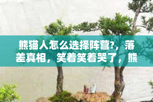 熊猫人怎么选择阵营?,落差真相,笑着笑着哭了,熊猫人选阵营竟让我如此分裂! 熊猫人怎么选择阵营?,落差真相,笑着笑着哭了,熊猫人选阵营竟让我如此分裂!