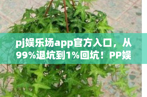 pj娱乐场app官方入口，从99%退坑到1%回坑！PP娱乐城这波操作让我惊掉下巴！