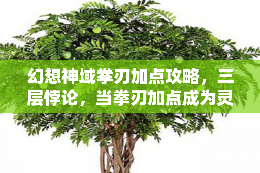 幻想神域拳刃加点攻略,三层悖论,当拳刃加点成为灵魂震颤的存在主义审判 幻想神域拳刃加点攻略,三层悖论,当拳刃加点成为灵魂震颤的存在主义审判