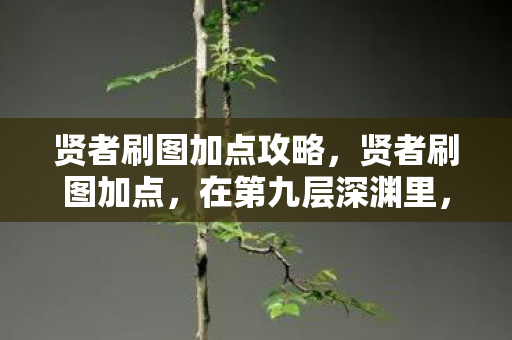 贤者刷图加点攻略,贤者刷图加点,在第九层深渊里,我同时杀死了神明与自己 贤者刷图加点攻略,贤者刷图加点,在第九层深渊里,我同时杀死了神明与自己