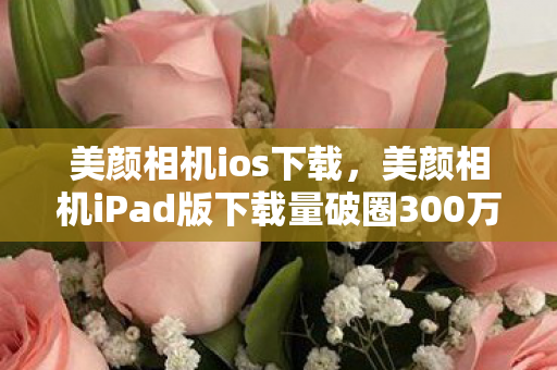美颜相机ios下载，美颜相机iPad版下载量破圈300万！手办狂魔的冰箱与钱包双双阵亡