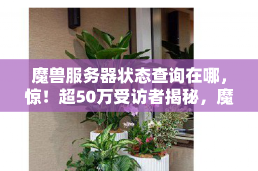 魔兽服务器状态查询在哪,惊!超50万受访者揭秘,魔兽服务器疑点重重,老玩家绷不住了! 魔兽服务器状态查询在哪,惊!超50万受访者揭秘,魔兽服务器疑点重重,老玩家绷不住了!