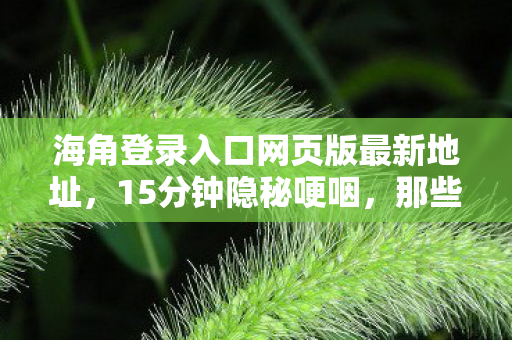 海角登录入口网页版最新地址,15分钟隐秘哽咽,那些年我们在海角登录入口网页版熬过的夜 海角登录入口网页版最新地址,15分钟隐秘哽咽,那些年我们在海角登录入口网页版熬过的夜