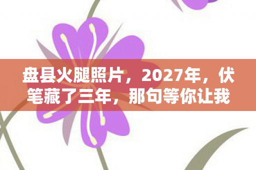 盘县火腿照片，2027年，伏笔藏了三年，那句等你让我鼻子一酸