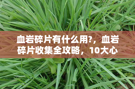 血岩碎片有什么用?,血岩碎片收集全攻略,10大心得+避坑指南,让你少走弯路! 血岩碎片有什么用?,血岩碎片收集全攻略,10大心得+避坑指南,让你少走弯路!