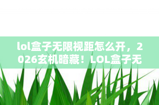 lol盒子无限视距怎么开，2026玄机暗藏！LOL盒子无限视距，沉默背后藏着什么游戏人生？