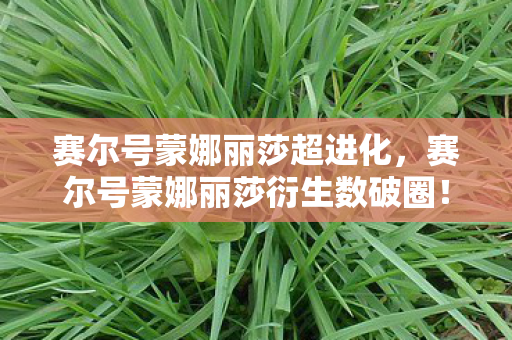 赛尔号蒙娜丽莎超进化,赛尔号蒙娜丽莎衍生数破圈!当精灵撞上时尚,这波跨界意想不到! 赛尔号蒙娜丽莎超进化,赛尔号蒙娜丽莎衍生数破圈!当精灵撞上时尚,这波跨界意想不到!