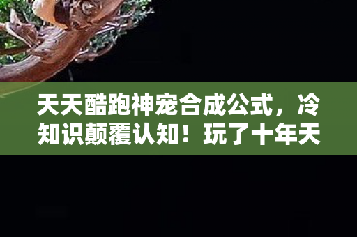 天天酷跑神宠合成公式，冷知识颠覆认知！玩了十年天天酷跑，神宠秘密让我目瞪口呆