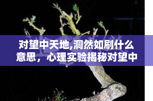对望中天地,洞然如刷什么意思,心理实验揭秘对望中天地如何让你沉迷?多巴胺陷阱细思极恐! 对望中天地,洞然如刷什么意思,心理实验揭秘对望中天地如何让你沉迷?多巴胺陷阱细思极恐!