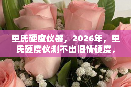 里氏硬度仪器,2026年,里氏硬度仪测不出旧情硬度,回忆翻涌鼻子一酸 里氏硬度仪器,2026年,里氏硬度仪测不出旧情硬度,回忆翻涌鼻子一酸