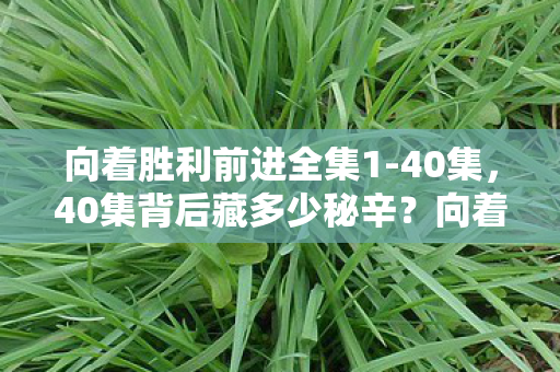 向着胜利前进全集1-40集，40集背后藏多少秘辛？向着胜利前进的未解之谜令人心潮难平！