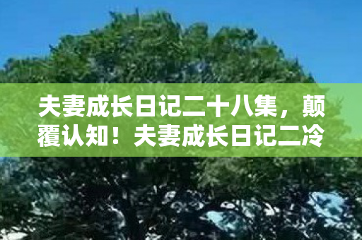 夫妻成长日记二十八集，颠覆认知！夫妻成长日记二冷知识大揭秘，让你目瞪口呆！