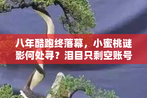 八年酷跑终落幕，小蜜桃谜影何处寻？泪目只剩空账号