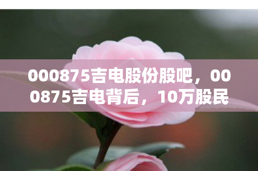 000875吉电股份股吧，000875吉电背后，10万股民的游戏人生，从狂欢到心酸谁懂？