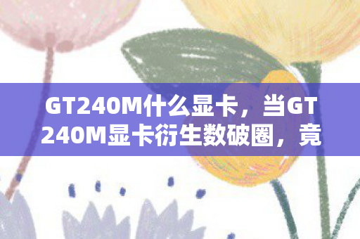 GT240M什么显卡，当GT240M显卡衍生数破圈，竟成了我败家人生的意想不到转折点！
