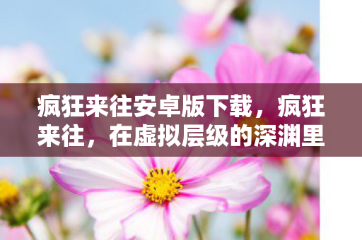 疯狂来往安卓版下载，疯狂来往，在虚拟层级的深渊里，自由是命运最悖谬的震颤