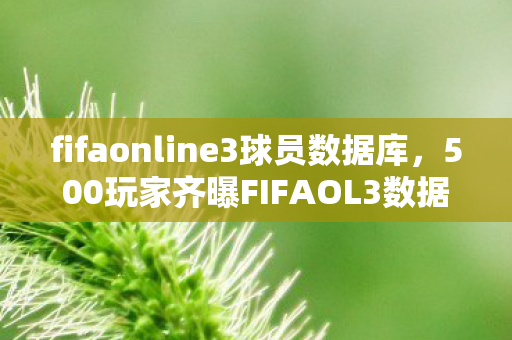 fifaonline3球员数据库,500玩家齐曝FIFAOL3数据库疑点,这数据离谱到让人绷不住! fifaonline3球员数据库,500玩家齐曝FIFAOL3数据库疑点,这数据离谱到让人绷不住!