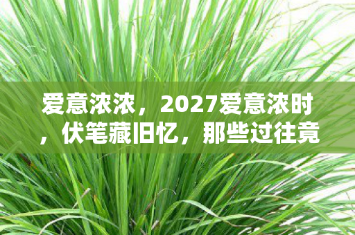 爱意浓浓,2027爱意浓时,伏笔藏旧忆,那些过往竟让我鼻子一酸 爱意浓浓,2027爱意浓时,伏笔藏旧忆,那些过往竟让我鼻子一酸
