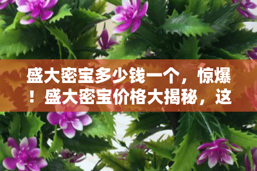 盛大密宝多少钱一个，惊爆！盛大密宝价格大揭秘，这体验让我直呼真香！