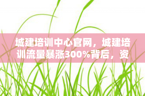 城建培训中心官网,城建培训流量暴涨300%背后,资本疑云密布,玩家心寒真相几何? 城建培训中心官网,城建培训流量暴涨300%背后,资本疑云密布,玩家心寒真相几何?