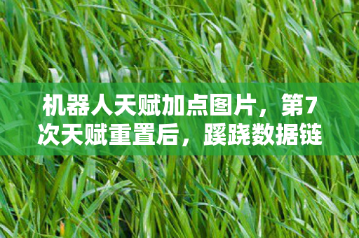 机器人天赋加点图片,第7次天赋重置后,蹊跷数据链竟让我后背发凉! 机器人天赋加点图片,第7次天赋重置后,蹊跷数据链竟让我后背发凉!