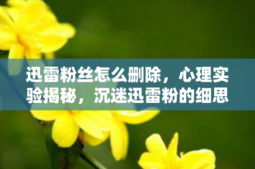 迅雷粉丝怎么删除,心理实验揭秘,沉迷迅雷粉的细思极恐自我麻醉剂量报告 迅雷粉丝怎么删除,心理实验揭秘,沉迷迅雷粉的细思极恐自我麻醉剂量报告