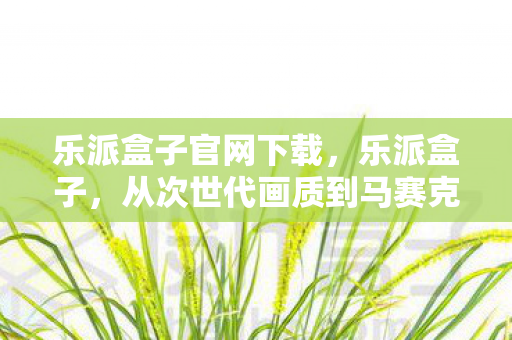 乐派盒子官网下载,乐派盒子,从次世代画质到马赛克盛宴,笑着笑着就哭了的游戏真相 乐派盒子官网下载,乐派盒子,从次世代画质到马赛克盛宴,笑着笑着就哭了的游戏真相