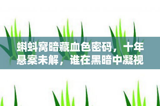 蝌蚪窝暗藏血色密码,十年悬案未解,谁在黑暗中凝视我? 蝌蚪窝暗藏血色密码,十年悬案未解,谁在黑暗中凝视我?