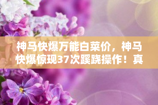 神马快爆万能白菜价，神马快爆惊现37次蹊跷操作！真相揭晓瞬间，让人后背发凉！